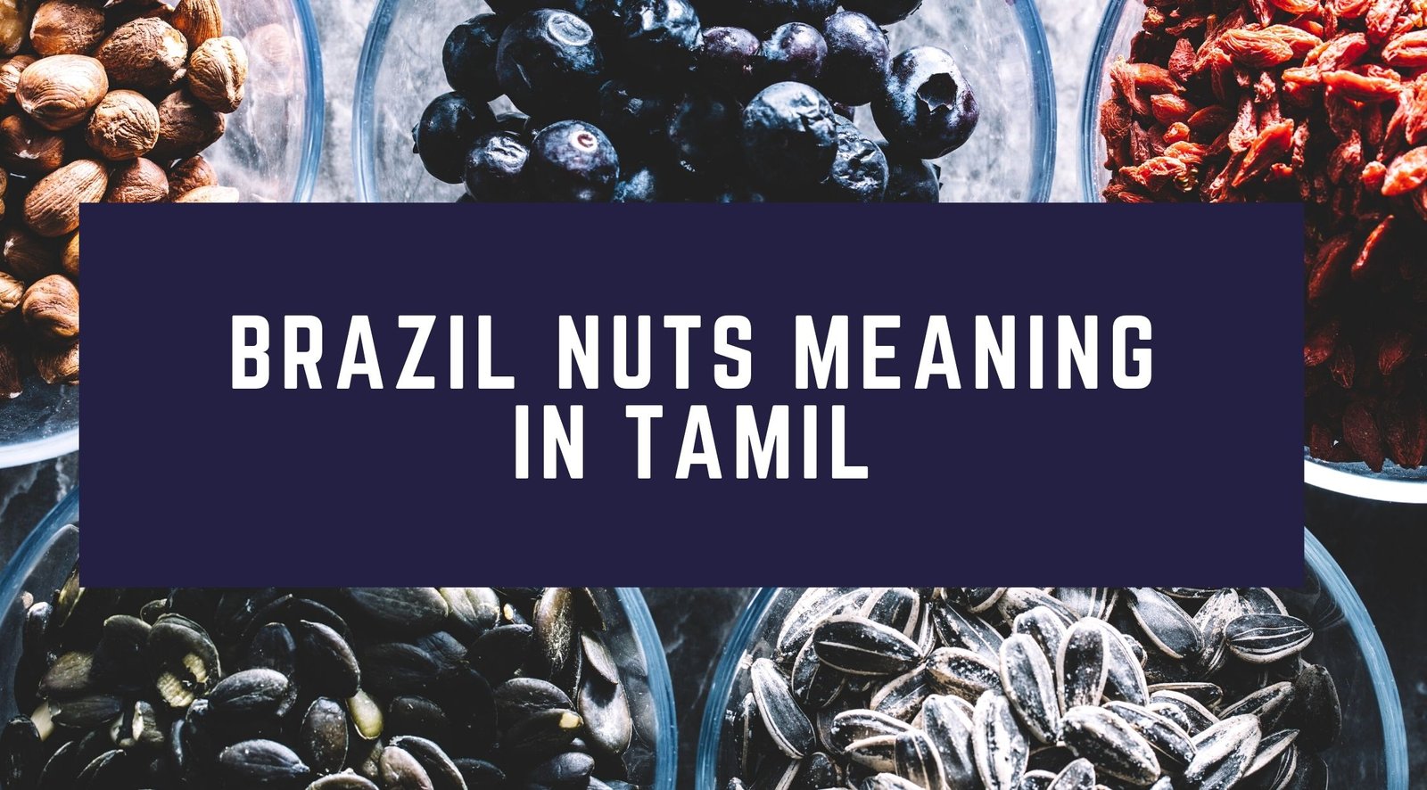 Brazil Nuts Meaning in Tamil