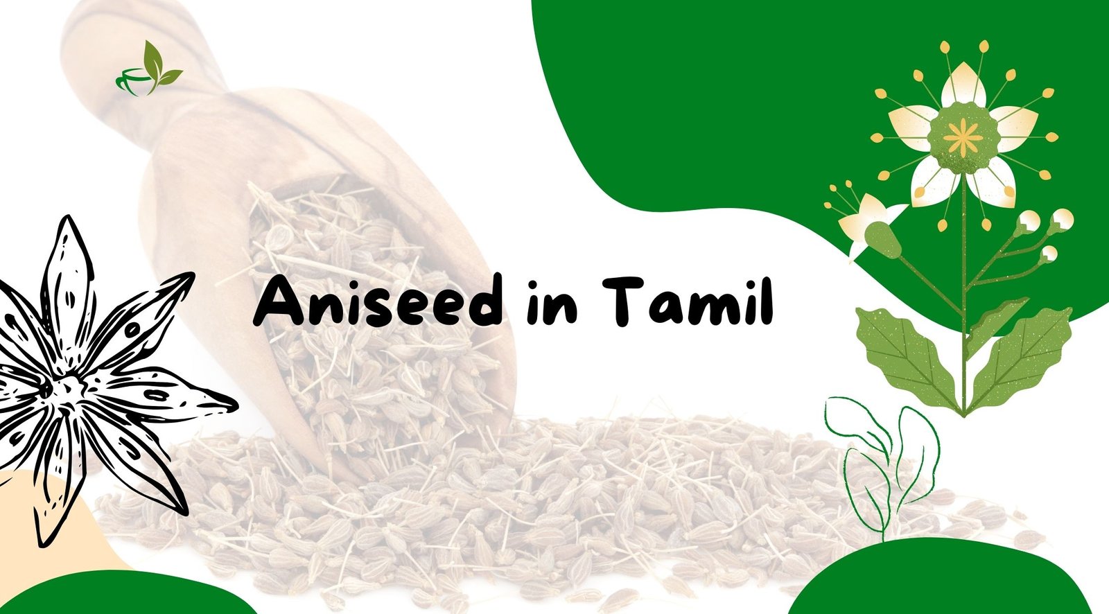 Aniseed Meaning in Tamil