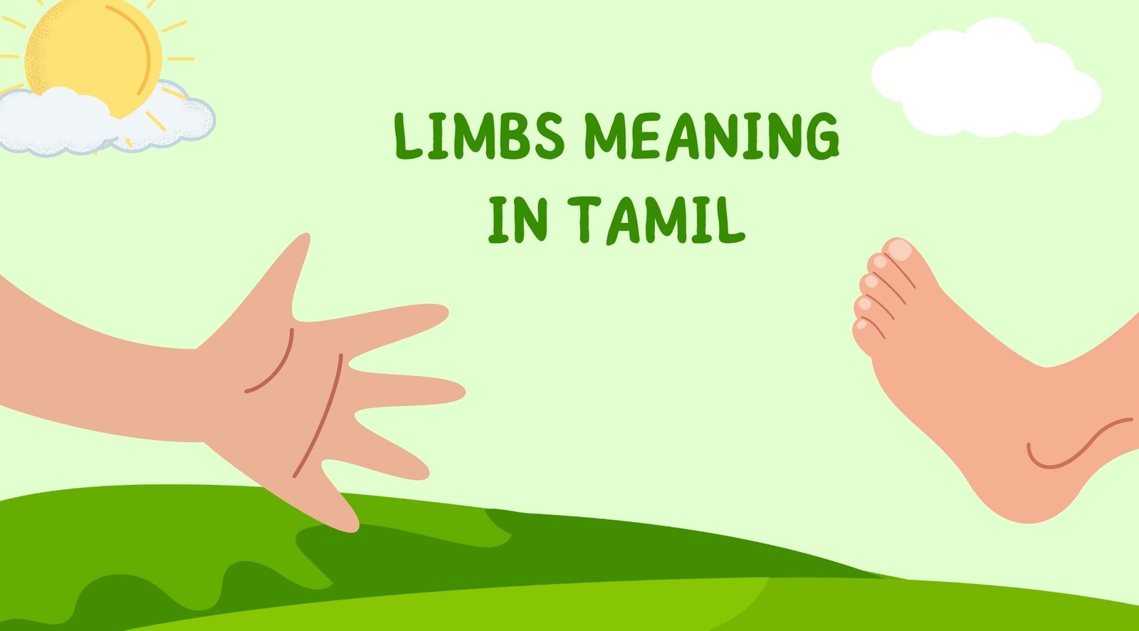 Limbs Meaning in Tamil