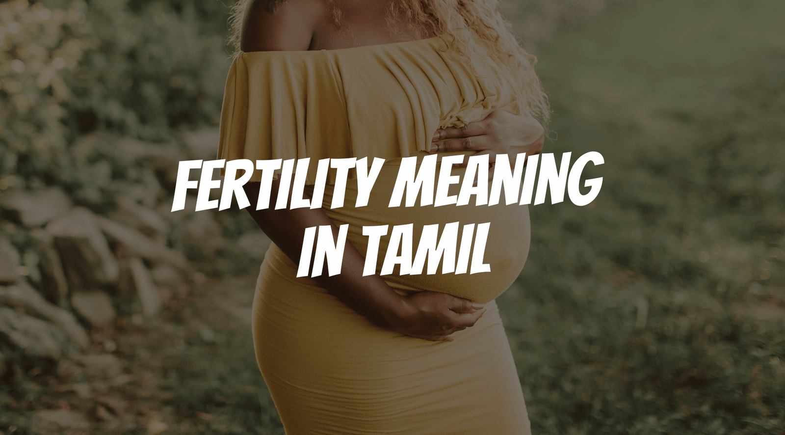 Fertility Meaning