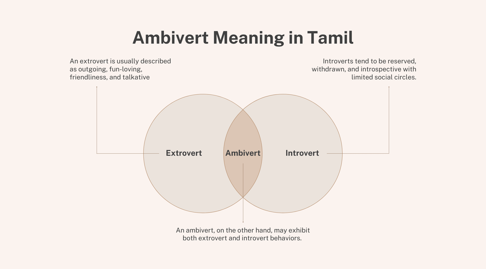 Ambivert Meaning