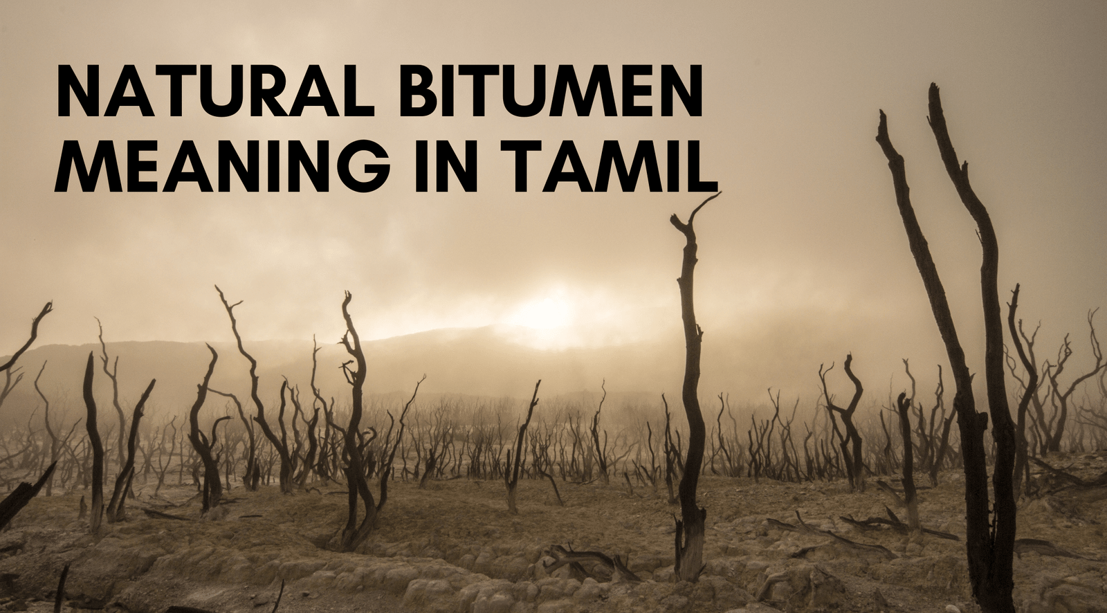 Natural Bitumen Meaning