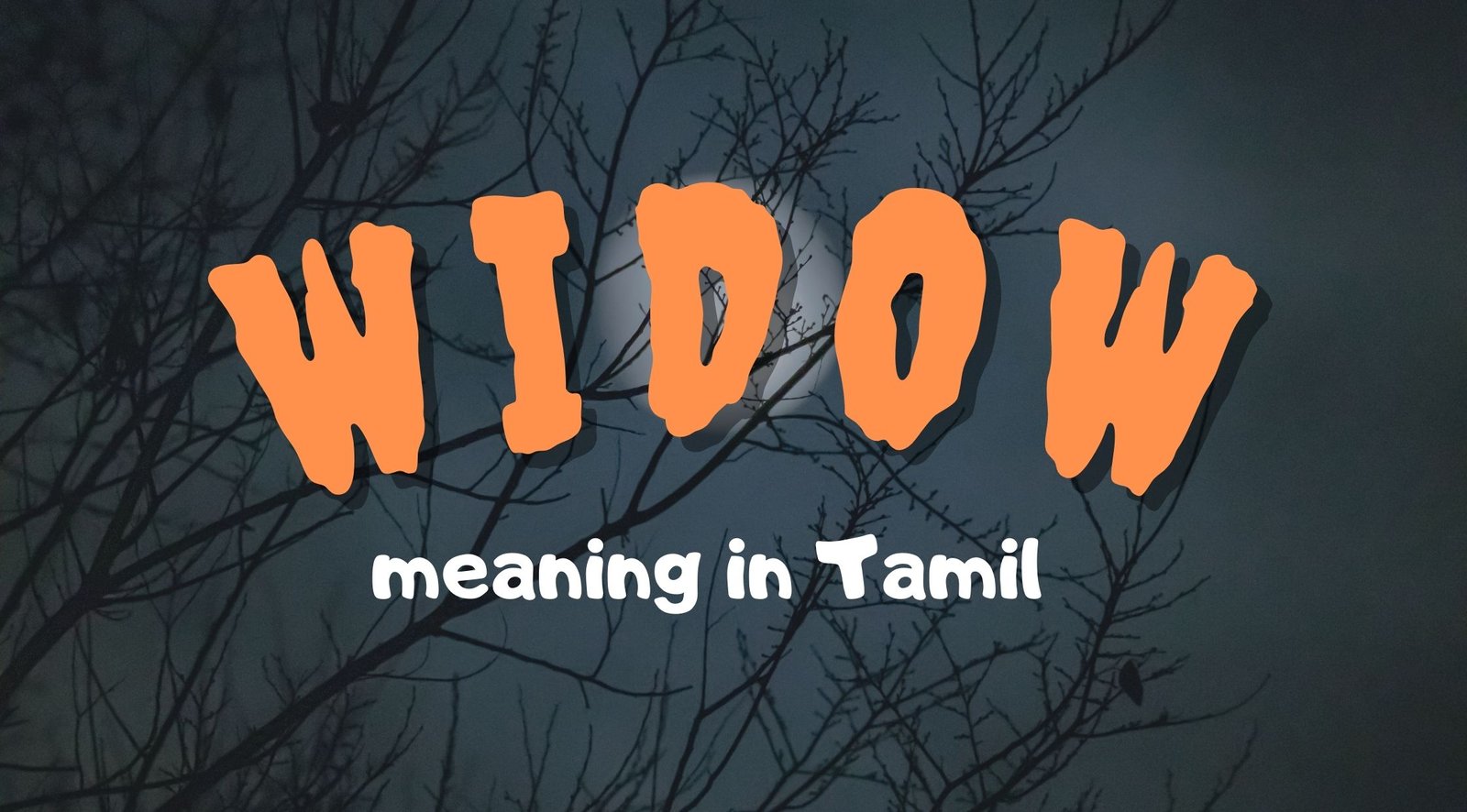 Widow Meaning in Tamil