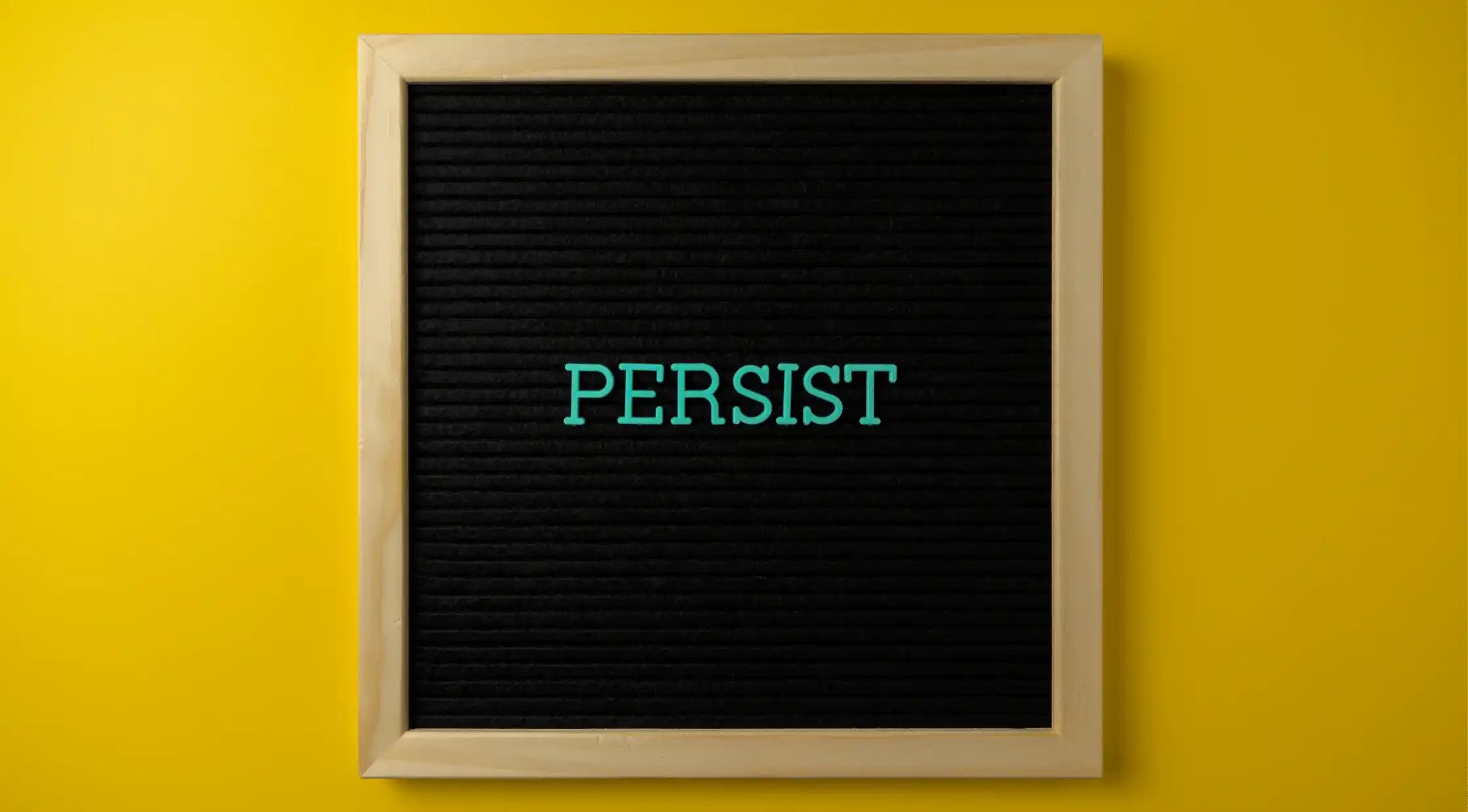Persistence Meaning