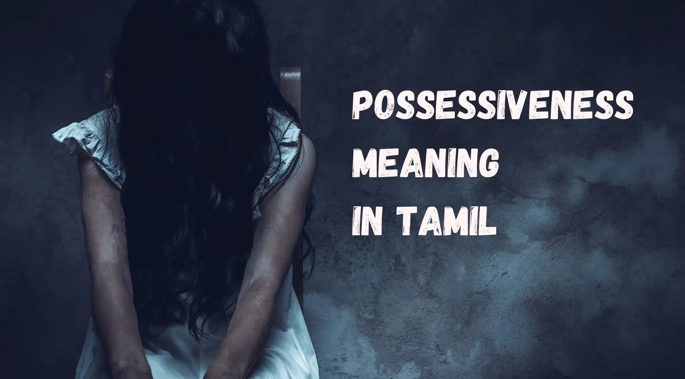 Possessiveness Meaning