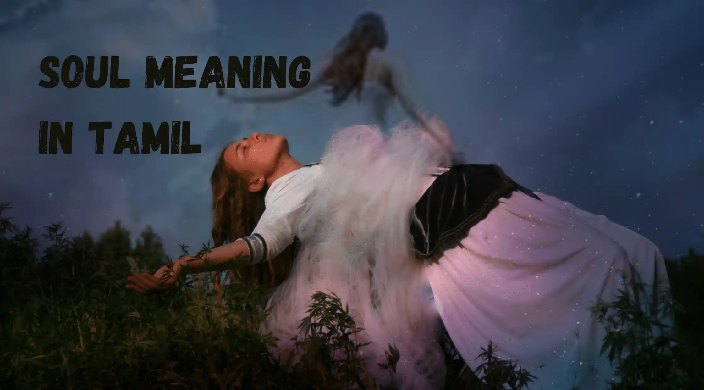 Soul Meaning